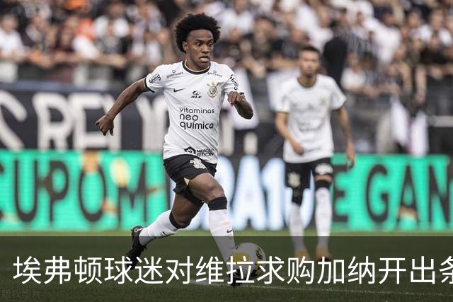 埃弗顿球迷对维拉求购加纳开出条件：拿1亿英镑来换中场数据王